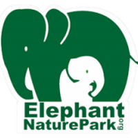 elephanr-nature